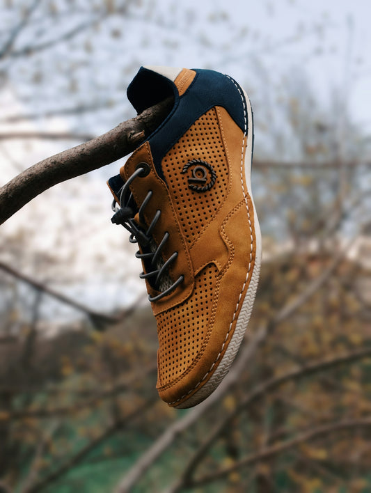 a pair of shoes hanging from a tree branch
