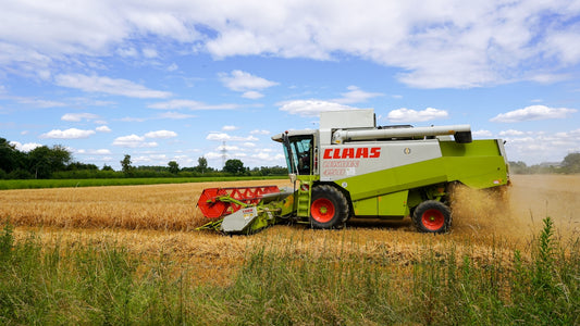 A combine harvester working in a golden wheat field.