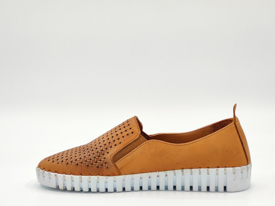 Pantofi Dama Piele Naturala Claudio Casini Cart 5006/ M - Claudio Casini - amely.ro