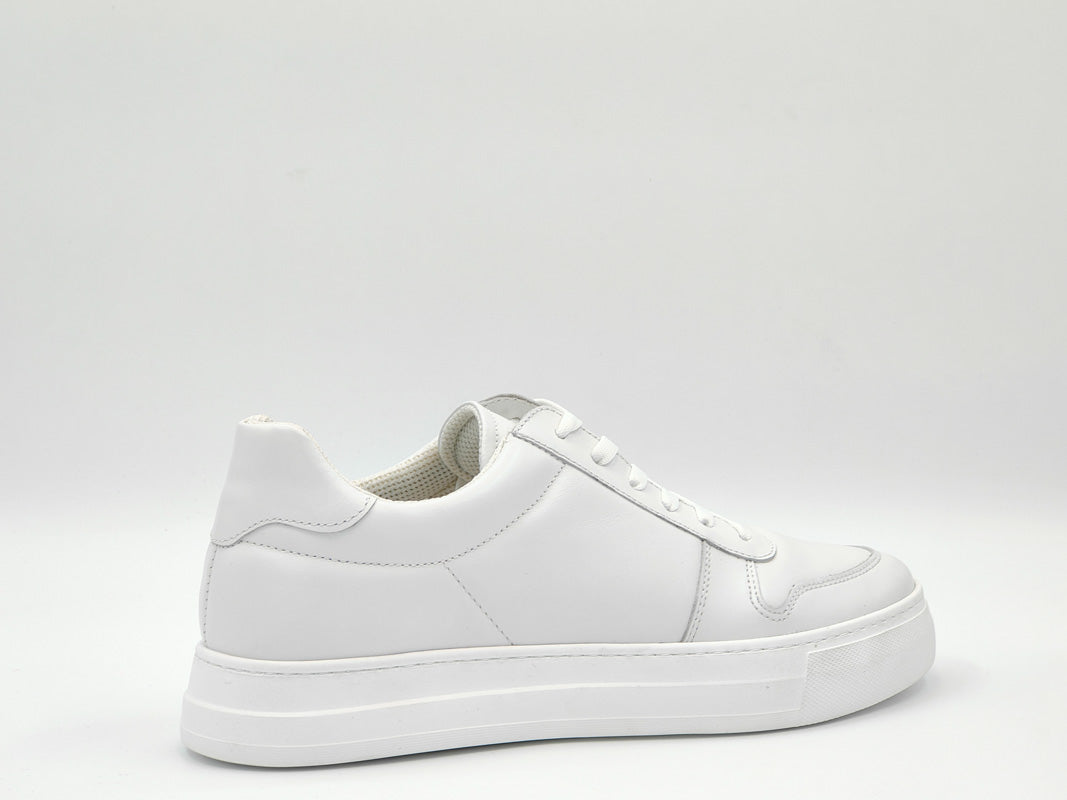 '-amely.ro-amely.ro-Pantofi Barbati Raimondo Leof 650 /A