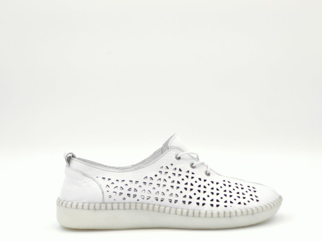 '-amely.ro-Claudio Casini-Pantofi Dama Piele Naturala De Vitel Claudio Casini Cart 771 /Alb