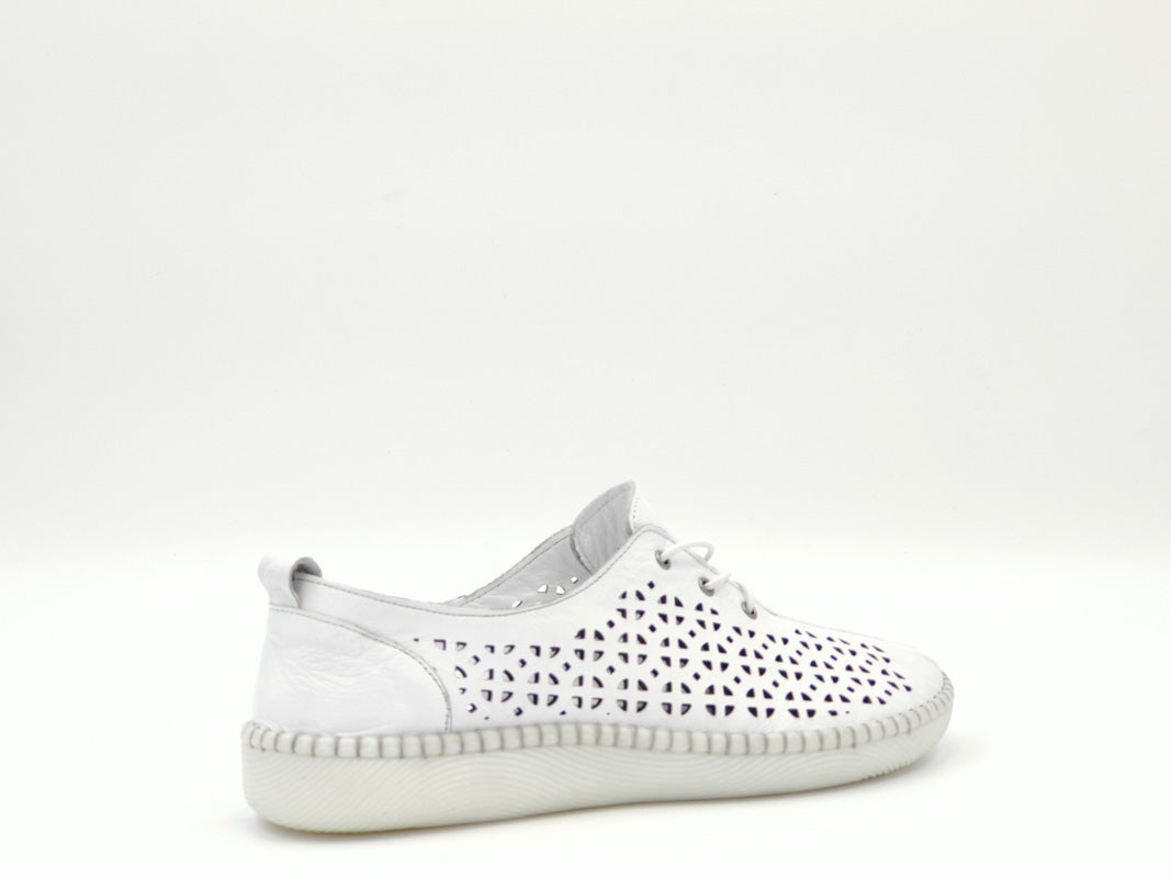 '-amely.ro-Claudio Casini-Pantofi Dama Piele Naturala De Vitel Claudio Casini Cart 771 /Alb