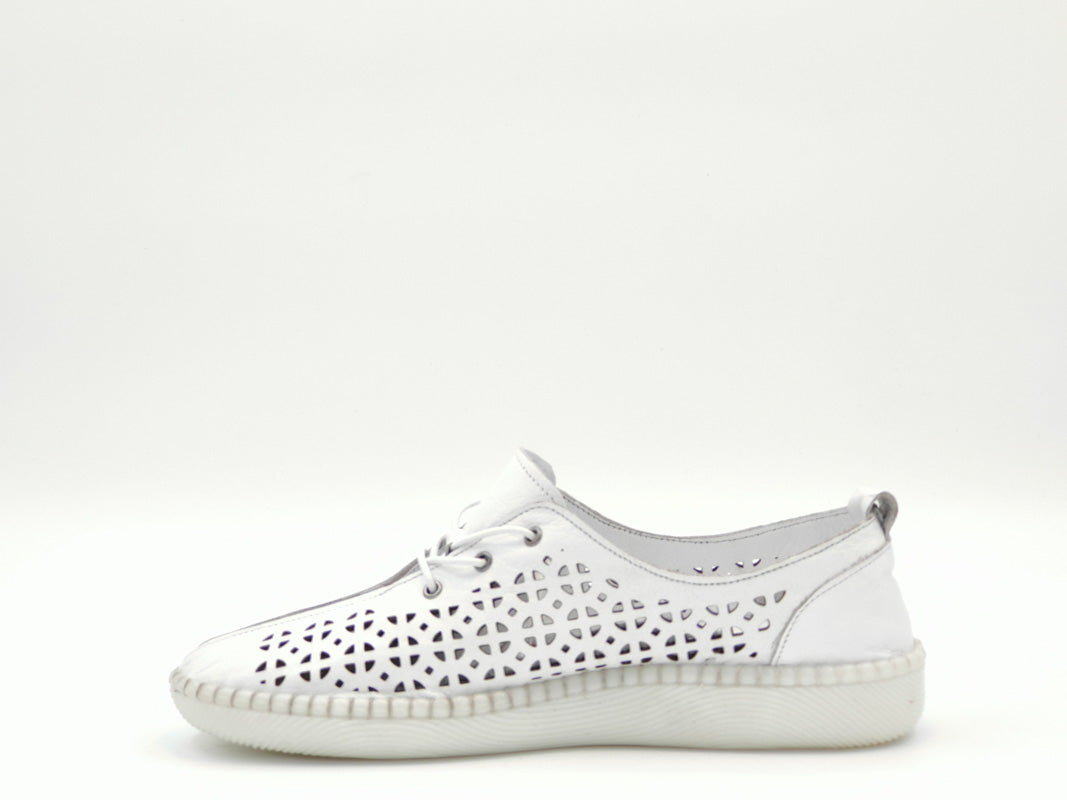 '-amely.ro-Claudio Casini-Pantofi Dama Piele Naturala De Vitel Claudio Casini Cart 771 /Alb